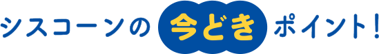 シスコーンの今どきポイント!
