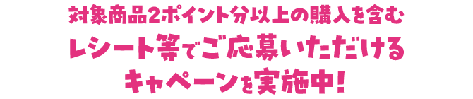 対象商品2ポイント分以上の購入を含むレシート等でご応募いただけるキャペーンを実施中！
