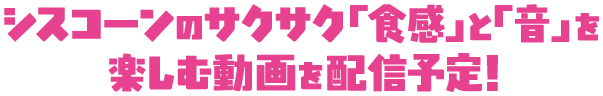 サクサク「食感」と「音」を楽しむ動画を配信予定！